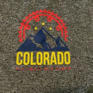 Colorado mountain biking T-shirt large gray.
